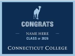 Connecticut College Design 8